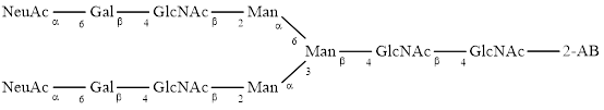 A2G2S2 glycan (G2S2), 2-AB labelled